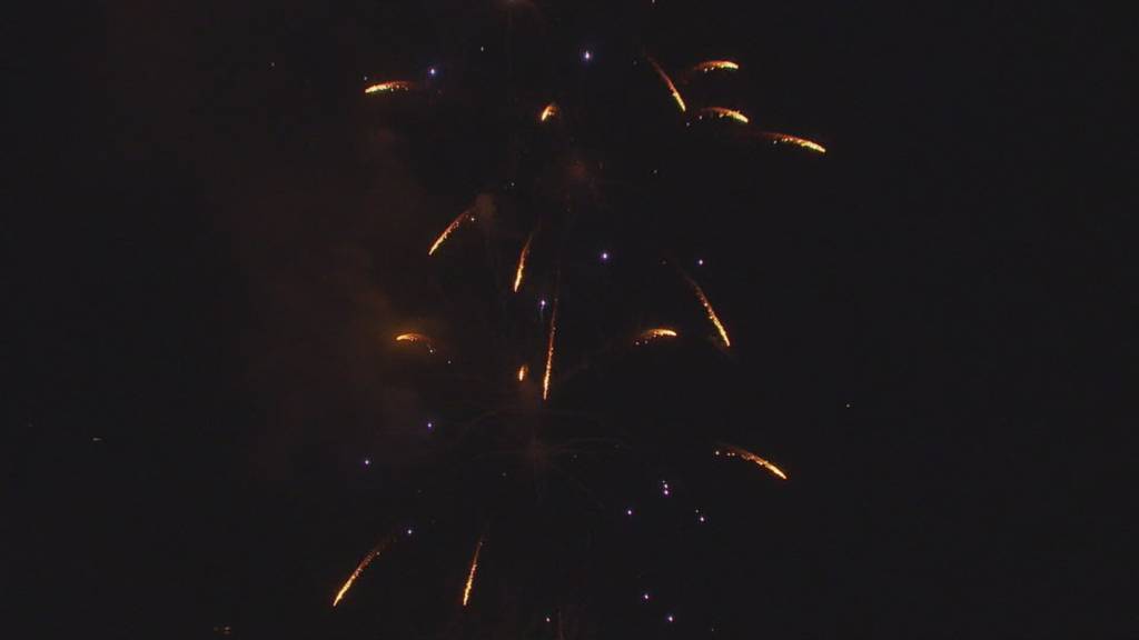 Initiative gegen Feuerwerk gibt zu reden