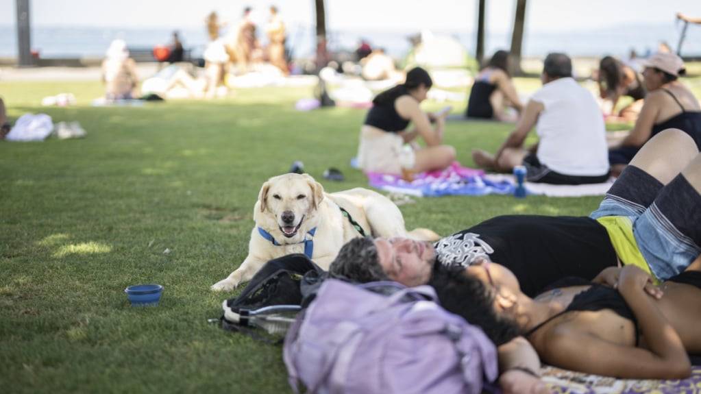 Die Hitze hat die Schweiz im Griff: Kühlesuchende mit Hund in Rorschach SG.