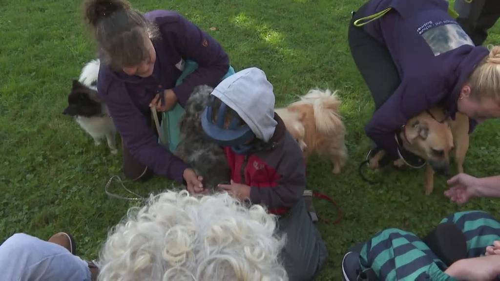 Überraschung in Walchwil: Therapiehunde sorgen für strahlende Kinderaugen