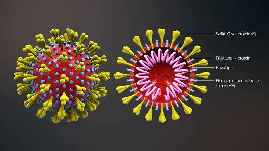 3D Animation Corona-Virus