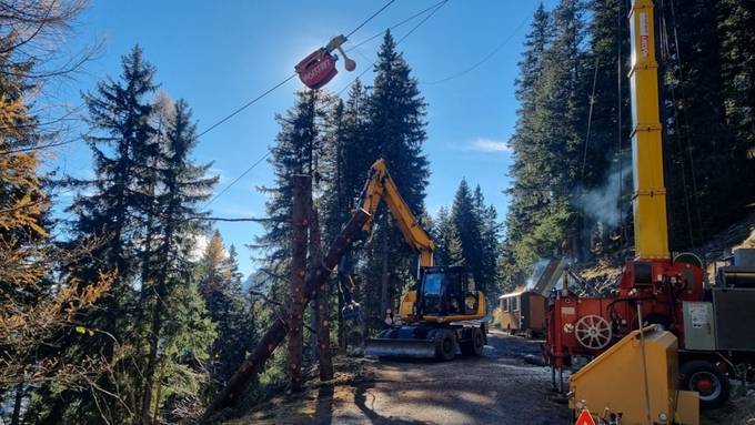 Regierung investiert über 25 Millionen Franken in Bündner Wald