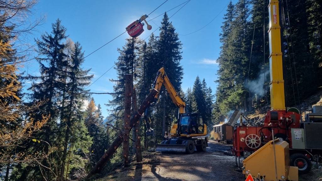 Die Waldpflege nimmt in Graubünden jährlich einen grossen Posten ein. Für 2024 - 2025 investieren Waldeigentümerinnen rund 30 Millionen Franken. Über 25 Millionen Franken davon übernimmt der Kanton.
