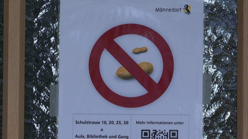 Wegen starker Allergie: Erdnussverbot in Männedorfer Schule