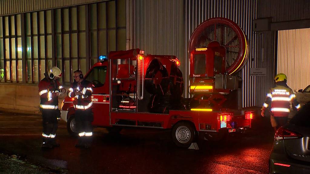 Feuer in Industriehalle: Elektrofahrzeug gerät in Vollbrand 