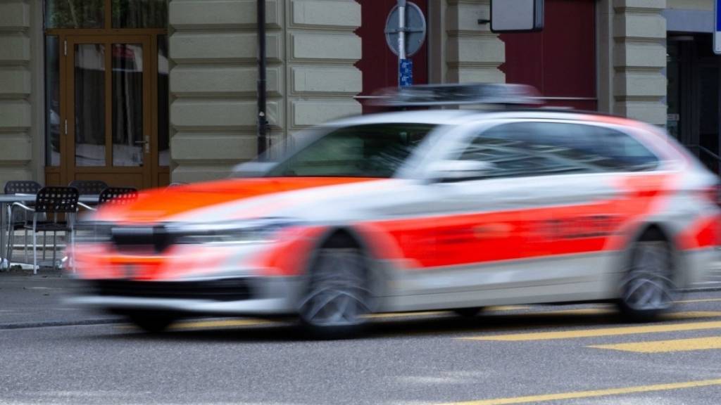 Mehrere Polizeipatrouillen rückten aus, um am Bahnhof Sargans SG nach dem Verdächtigen mit Axt zu schauen. (Symbolbild)