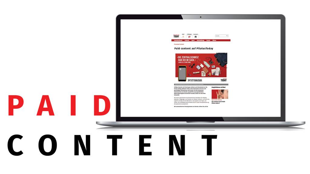 Paid Content B2B Newsletter