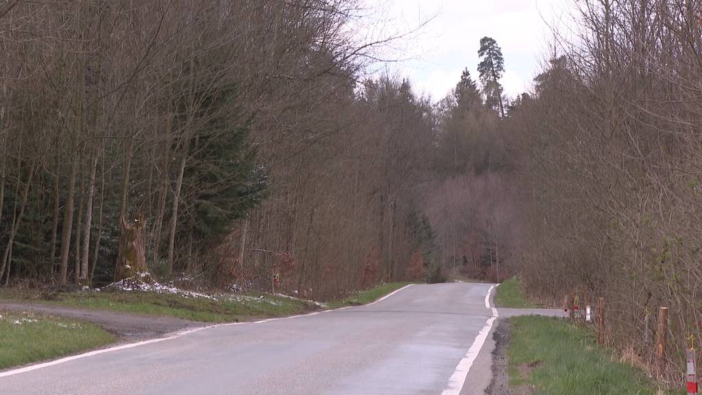 Vermisster Bub von Oberwangen wurde wieder gefunden