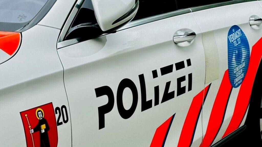Einer Patrouille der Glarner Kantonspolizei gingen zwei mutmassliche Diebe ins Netz. (Symbolbild)