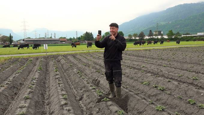 Landwirt mit Likes: «Ohne Familie geht nichts»