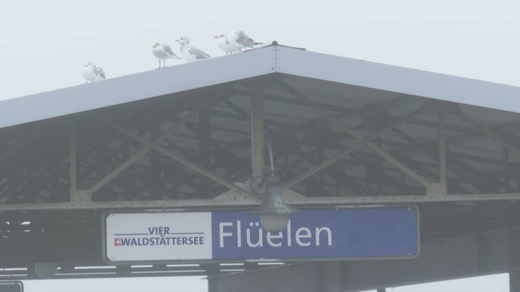 Schon wieder Flüchtende in Lieferwagen entdeckt