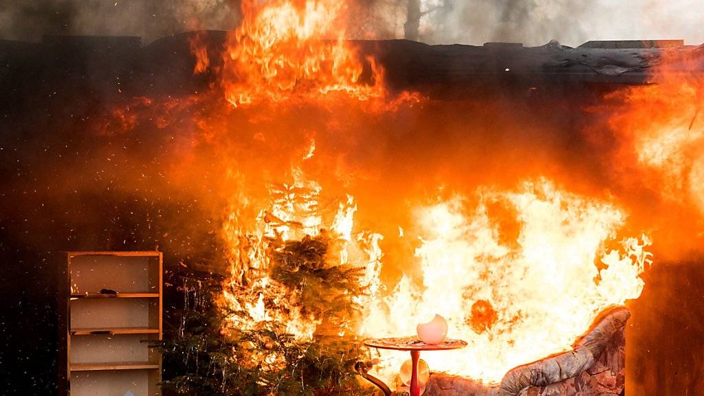 Mitte Dezember demonstrierte die Hamburger Feuerwehr, was passiert, wenn ein Weihnachtsbaum in Brand gerät. (Archivbild)