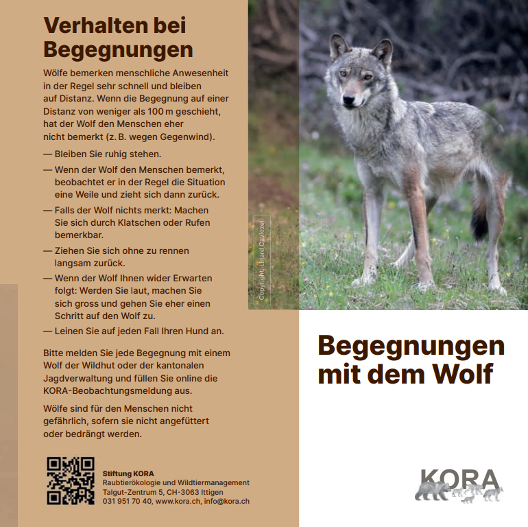 Tipps Umgang Wolf Stiftung KORA