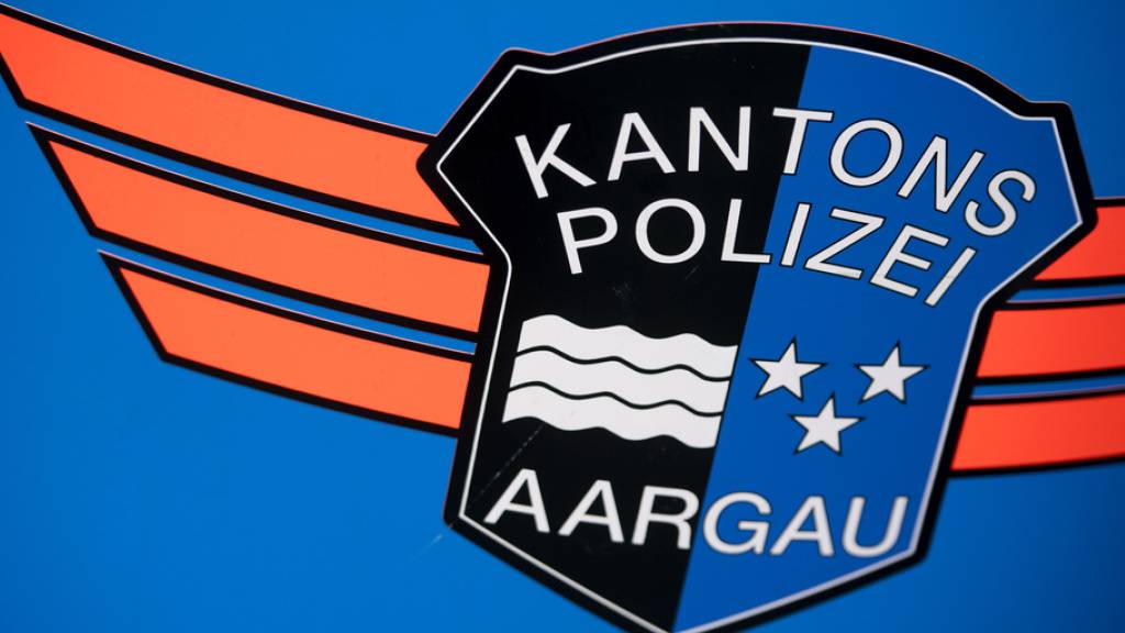 Die Aargauer Polizei hielt den Fahrzeugkonvoi auf dem Rastplatz Lenzburg an. (Archivbild)