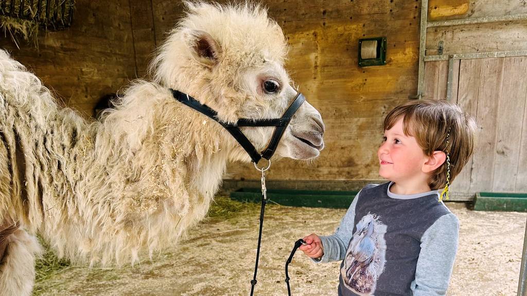 Gewinne Familientickets für Knies Kinderzoo