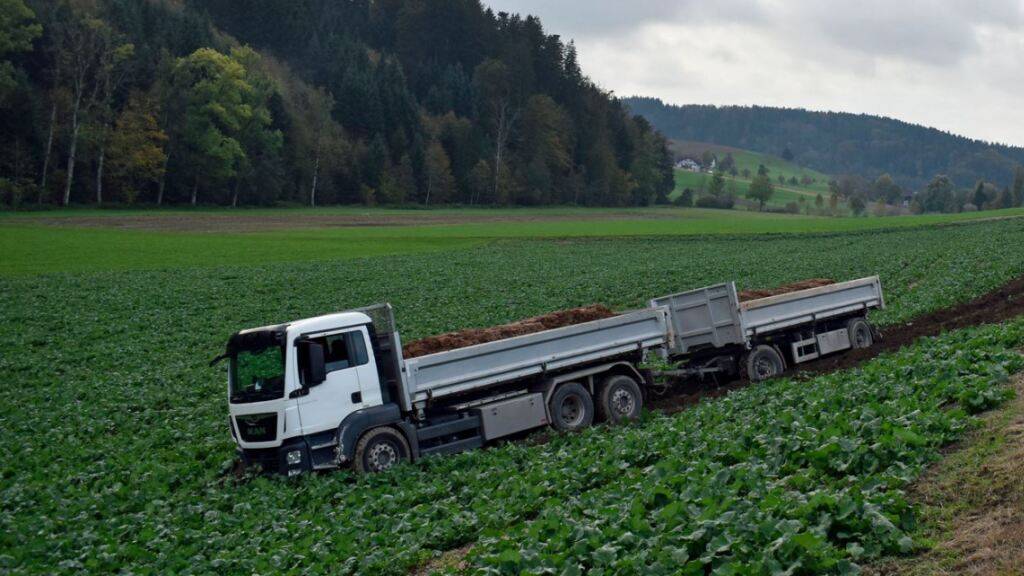 Anhängerzug fährt in Grossdietwil LU in ein Gemüsefeld