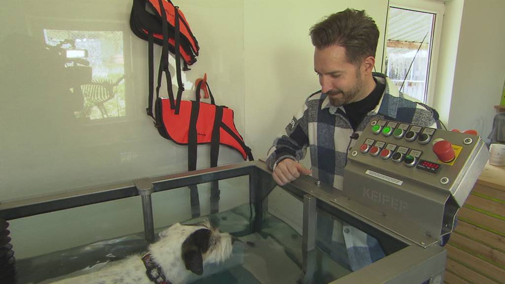 Unterwegs im Tier-Resort Schachen