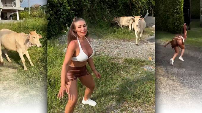 Kuh verjagt Playboy-Model von ihrer Wiese