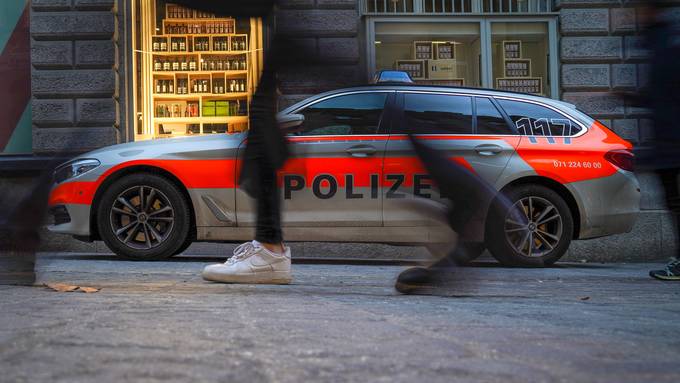 Aargauer Geschwister sollen brutal auf Zürcher Polizisten eingetreten haben