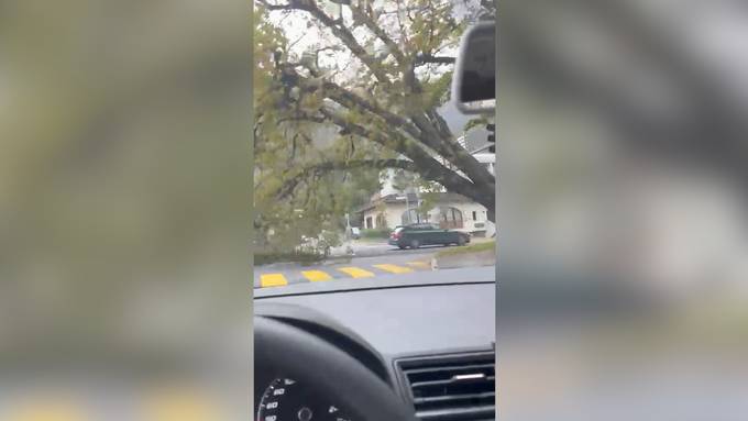 Hörerin filmt, wie Baum direkt vor ihr auf die Strasse knallt ++ zahlreiche Einsätze wegen Wind