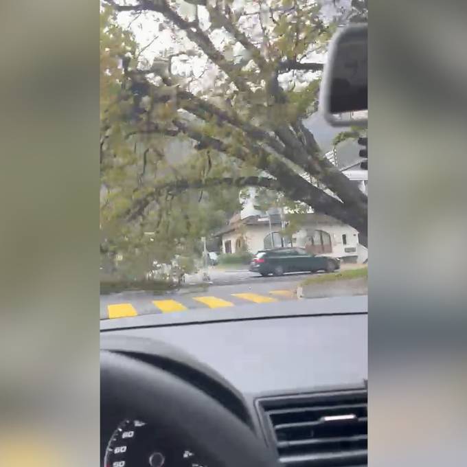 Hörerin filmt, wie Baum direkt vor ihr auf die Strasse knallt ++ zahlreiche Einsätze wegen Wind