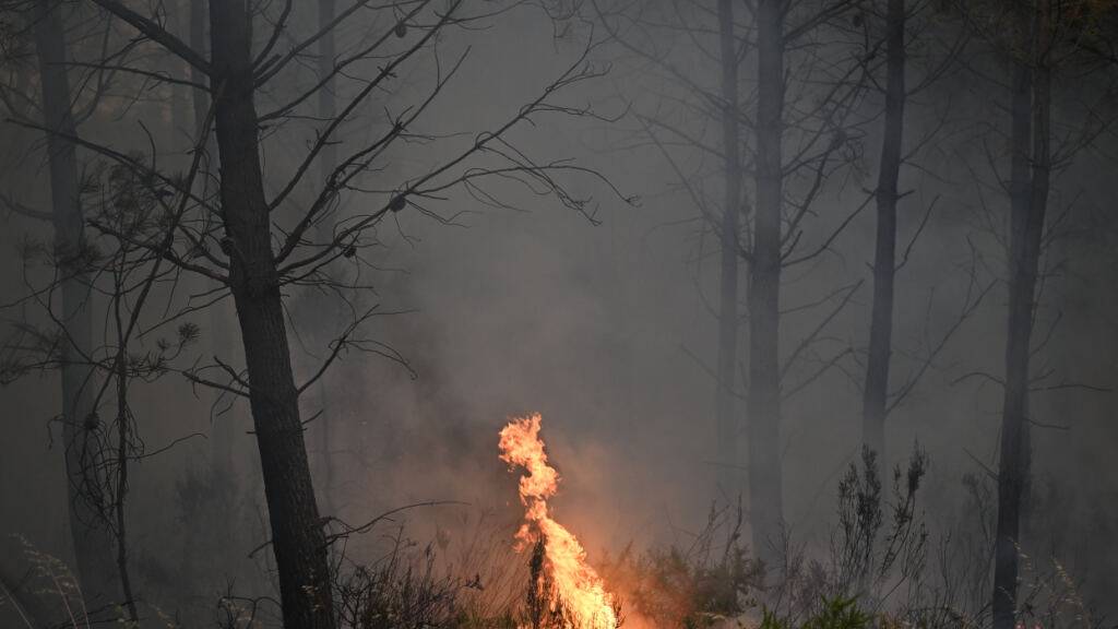 Bei einem Waldbrand in der Region Lege-Cap-Ferret im Südwesten Frankreichs verbrennen Flammen die Vegetation. Foto: Emma Da Silva/AP/dpa