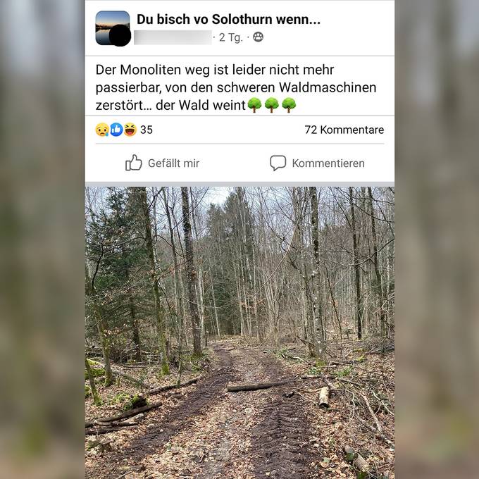 Solothurner Megalithweg von Forstmaschinen verwüstet