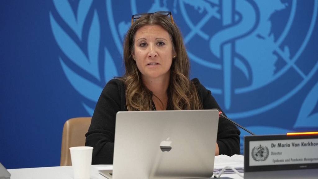 WHO zum Hantavirus: «Das ist kein Start einer Covid-Pandemie»