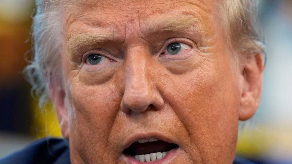 ARCHIV - US-Präsident Donald Trump spricht im Oval Office des Weißen Hauses. Foto: Alex Brandon/AP/dpa