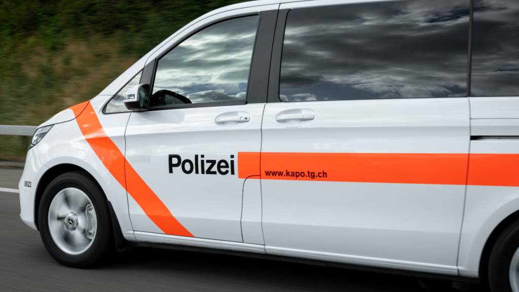 In einem Bach bei Andwil sterben mehrere hundert Fische