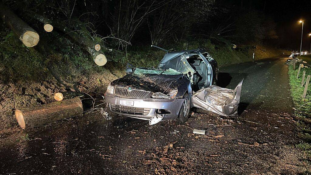 Das Fahrzeug wurde durch die umgestürzten Bäume vollständig demoliert.