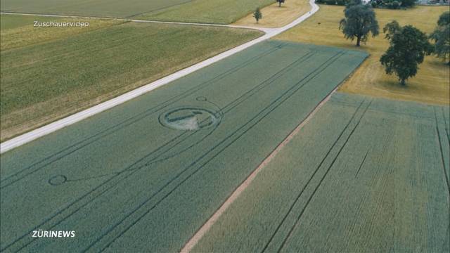 Kornkreis in Uster verblüfft Bauern