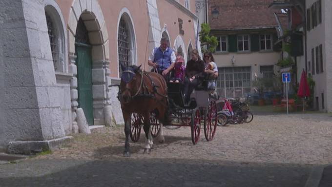 Solothurn feiert internationalen Museumstag