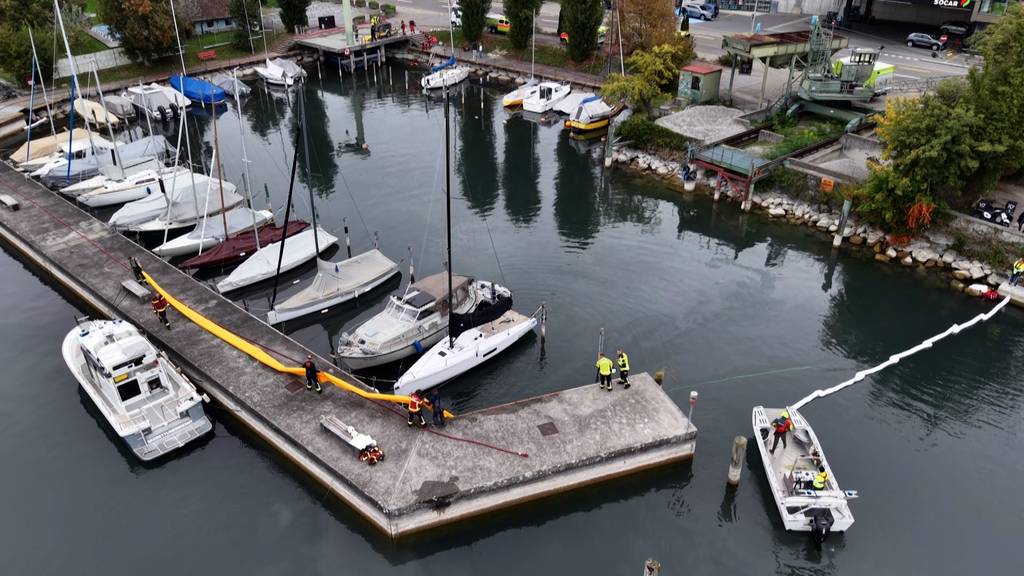 Ölfilm auf dem Zürichsee: Ölsperre im Hafen Stäfa errichtet