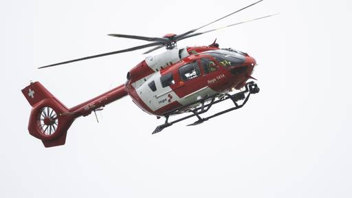 Frau verletzt sich bei Sturz von Treppe in Romanshorn TG schwer