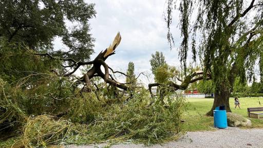 Seebad Romanshorn TG ist wegen Sturmschäden geschlossen