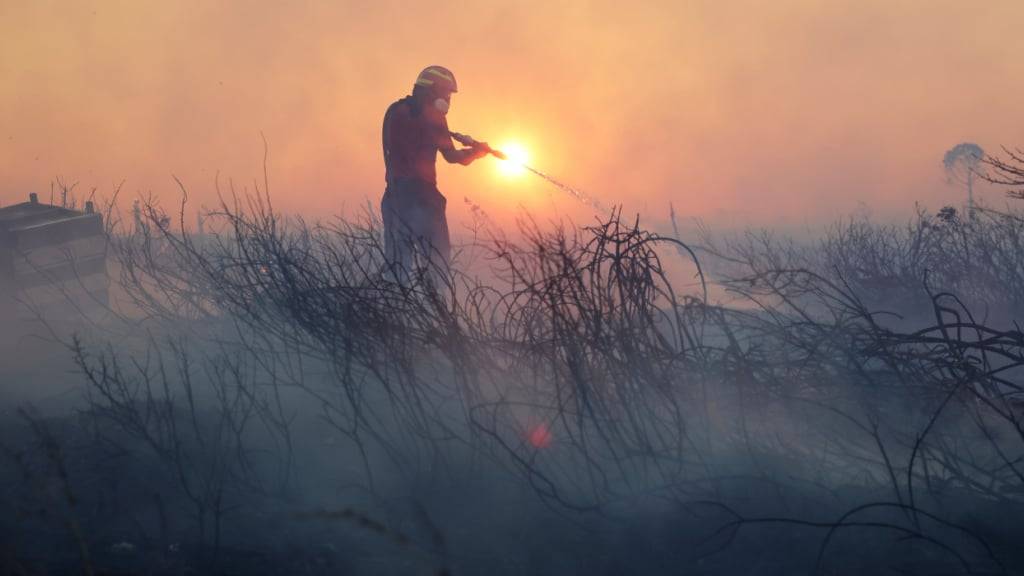 Ein Feuerwehrmann versucht, die Flammen eines Waldbrandes in Griechenland zu löschen. Foto: Yorgos Karahalis/AP/dpa