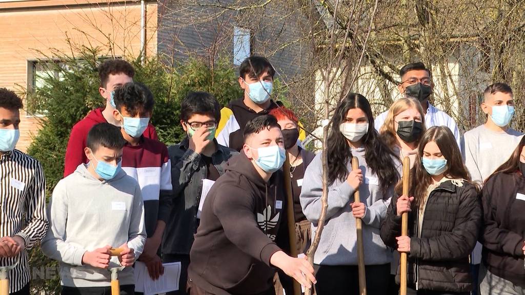 1 Jahr nach erstem Lockdown: So beeinflusste Fernunterricht die Schüler