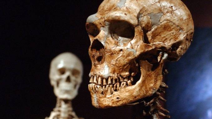 Neandertaler-Gene stärkten Immunsystem des modernen Menschen