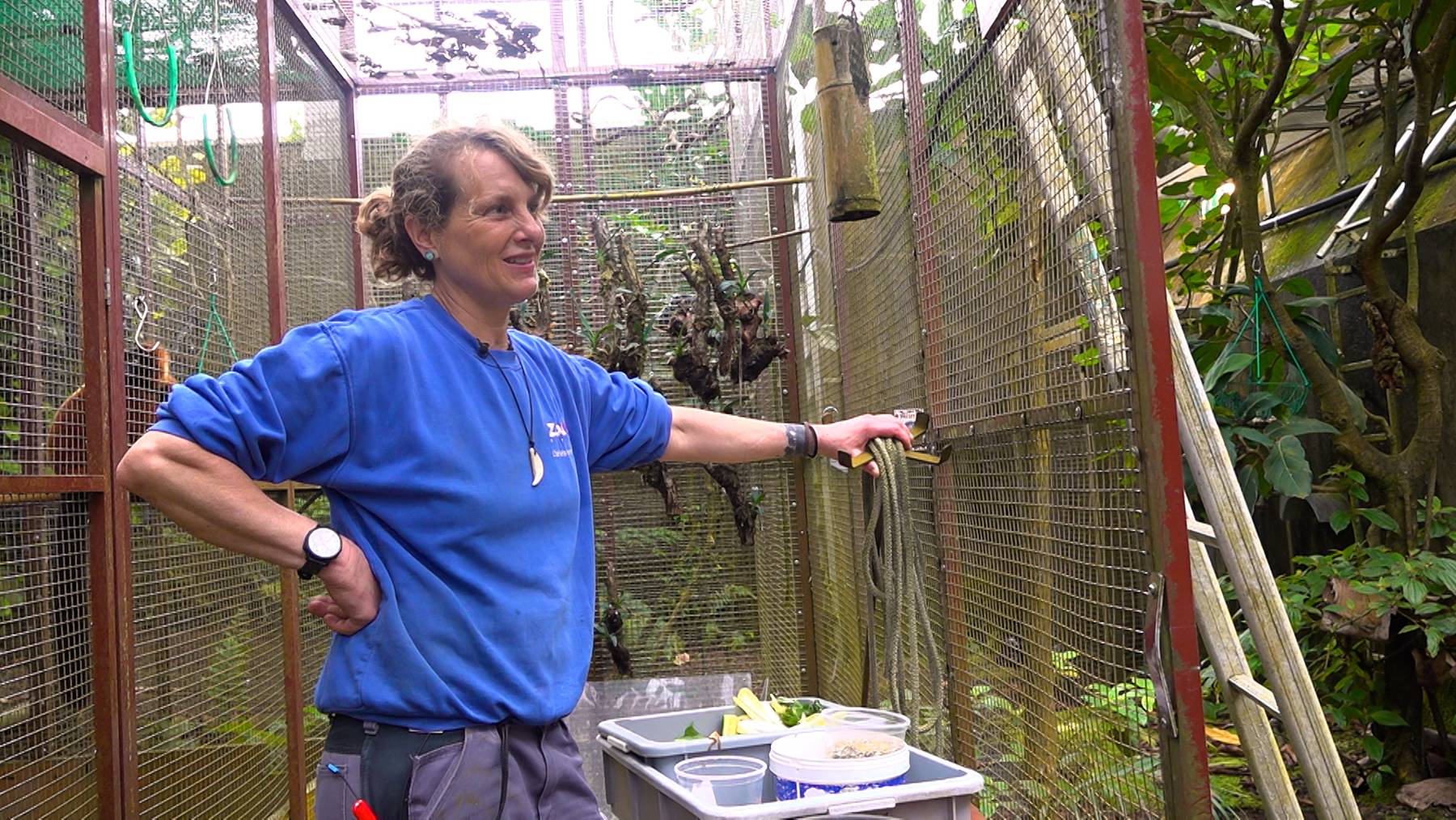 Daniela Kollmuss arbeitet als Tierpflegerin im Masoala Regenwald