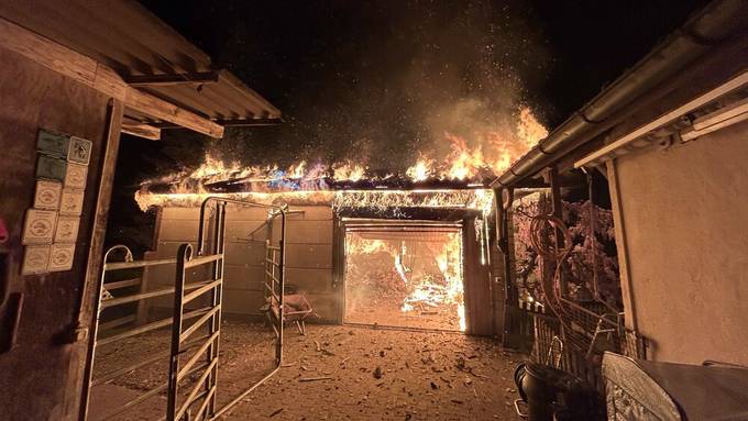 Holzschopf in Vollbrand – Feuerwehr rettet Kleintiere aus Inferno