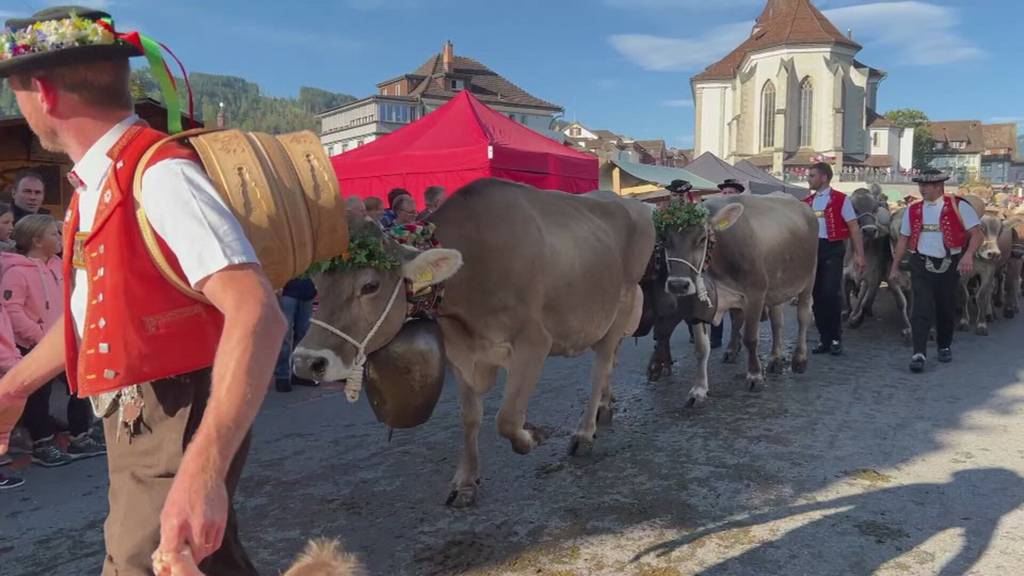 Viehschau: Gelebte Tradition in Appenzell