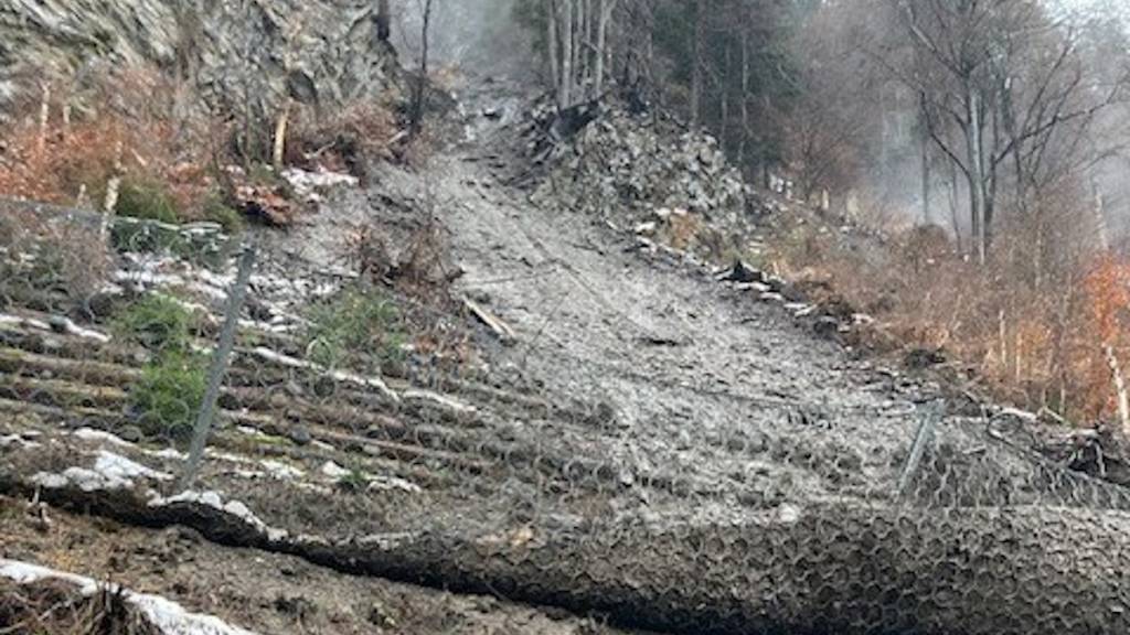 Schutznetze halten bisher den Grossteil an Gestein und Gehölz auf.