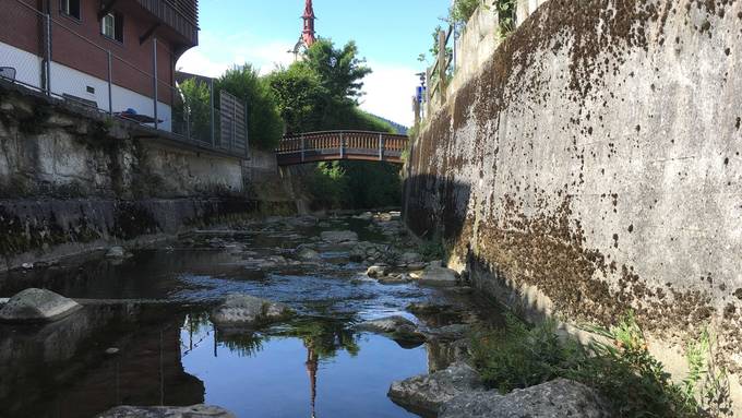 50 tote Fische im Dorfbach in Oberägeri