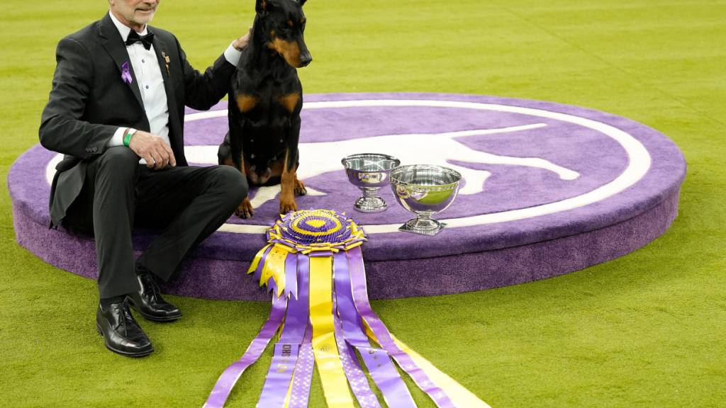 dpatopbilder - Dobermann «Penny» mit Hundeführer Andy Linton. Foto: Yuki Iwamura/AP/dpa