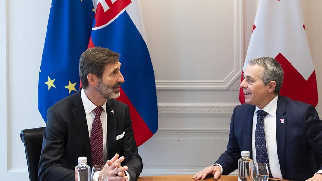 Aussenminister Ignazio Cassis und sein slowakischer Amtskollege Juraj Blanar trafen sich am Dienstag bereits in Bern.