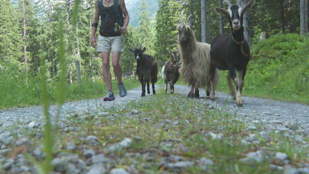 Teaser «6 Wochen – 6 Kantone»