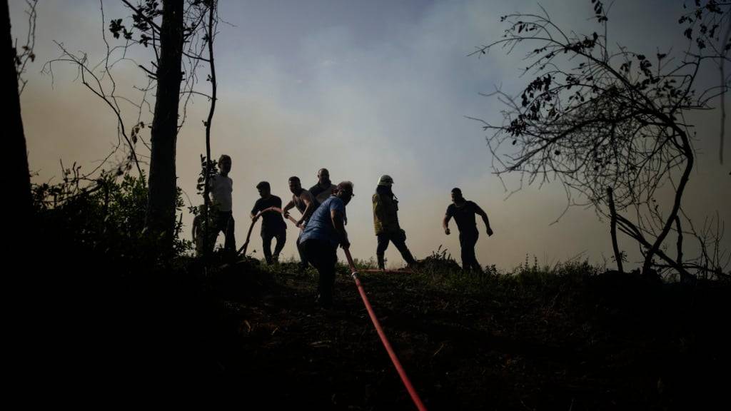 ARCHIV - Einheimische und Feuerwehrleute versuchen, einen Waldbrand in Beykoz, einem Vorort von Istanbul, zu löschen. Foto: Emrah Gurel/AP/dpa