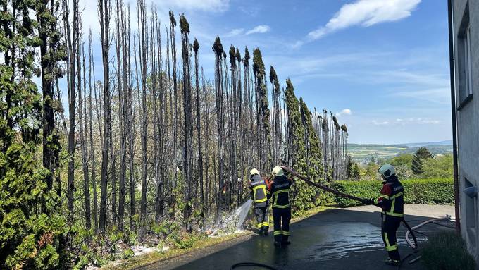 Aargauer wollen Unkraut vernichten – und setzen ihre Hecke in Brand