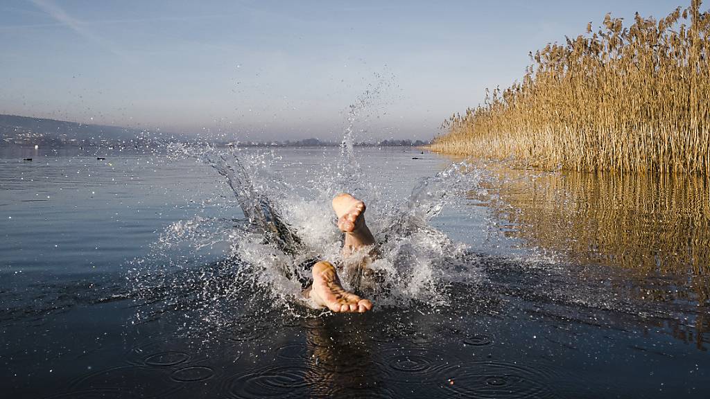 Ein Mann stürzt sich am Neujahrstag 2022 bei frühlingshaften Temperaturen kopfüber in den Greifensee.