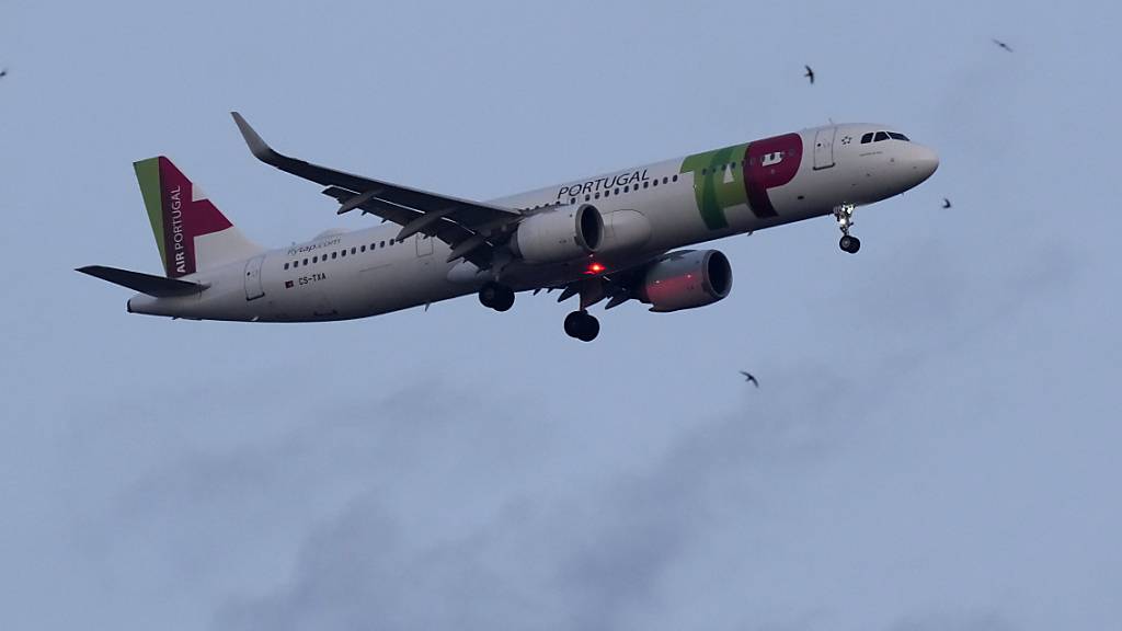 Ein Airbus A321 der portugiesischen Fluglinie TAP beim Landeanflug in Lissabon. (Archivbild)